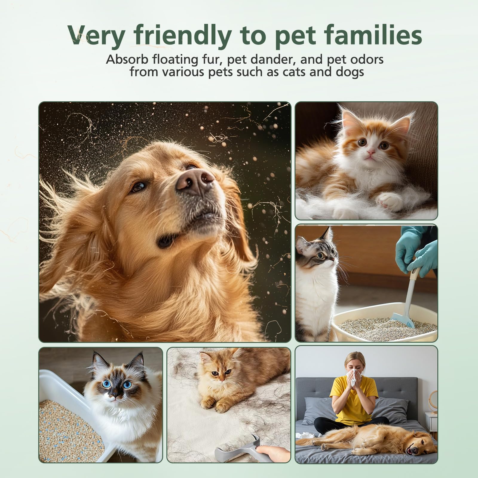 Velanqo PureAir 300™ Replacement HEPA Filters (2-Pack)