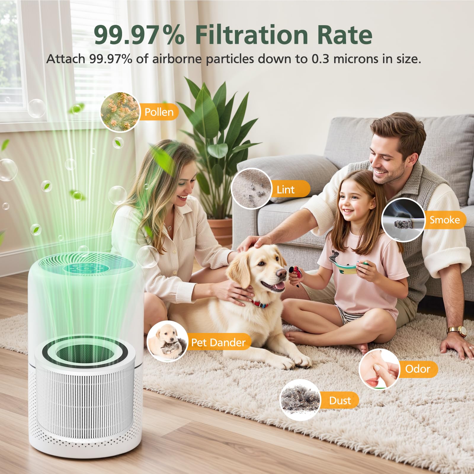 Velanqo PureAir 300™ Replacement HEPA Filters (2-Pack)