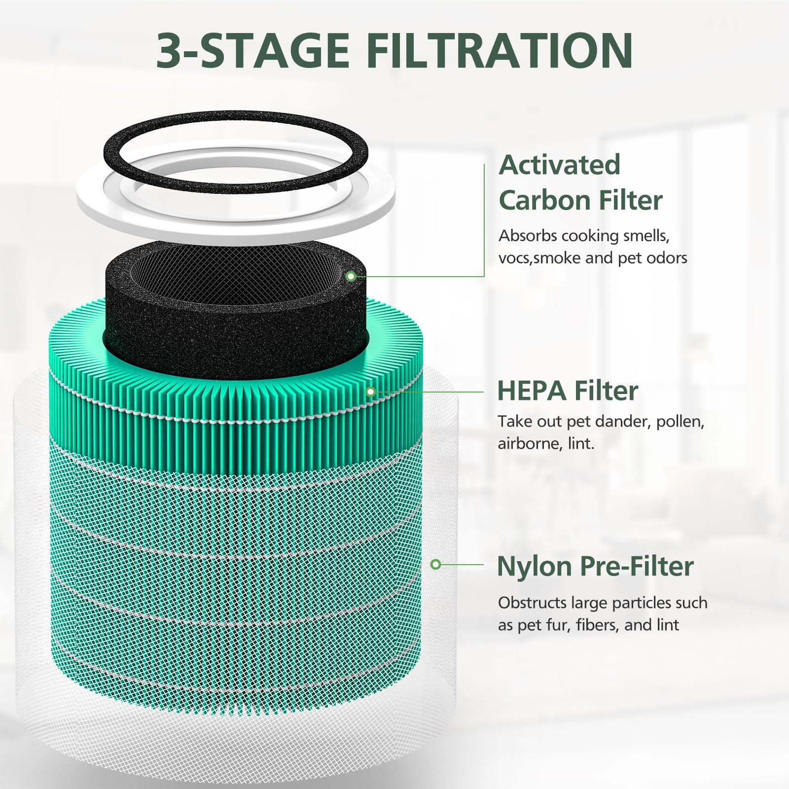 Velanqo PureAir 300™ Replacement HEPA Filters (2-Pack)